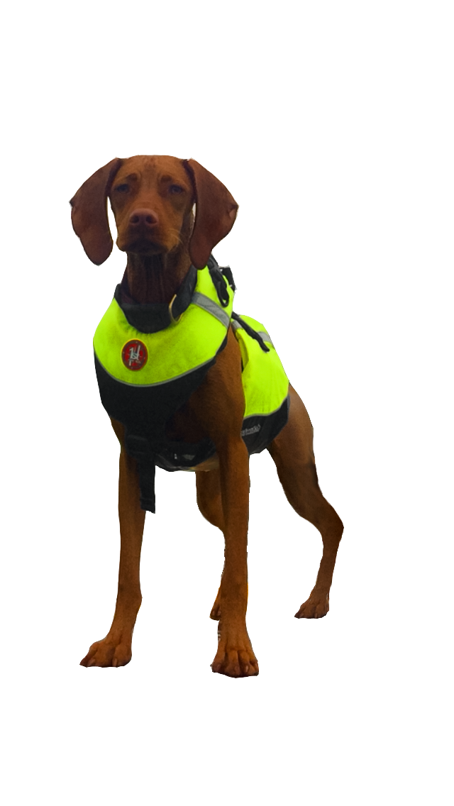 Firstwatch Dog Vest