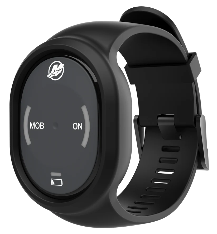 IBEX-Only_Merc_Passenger-Fob-Wristband_Large_888a9c1c-0538-4490-b595-3704ae1e6991